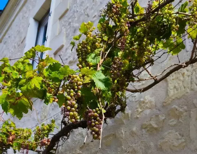 Les Chambres de Nelly