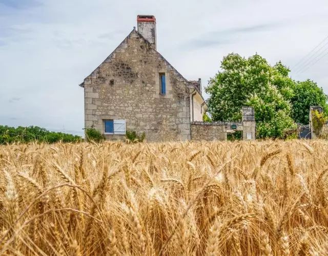 Maison de campagne sud Touraine avec piscine 8px