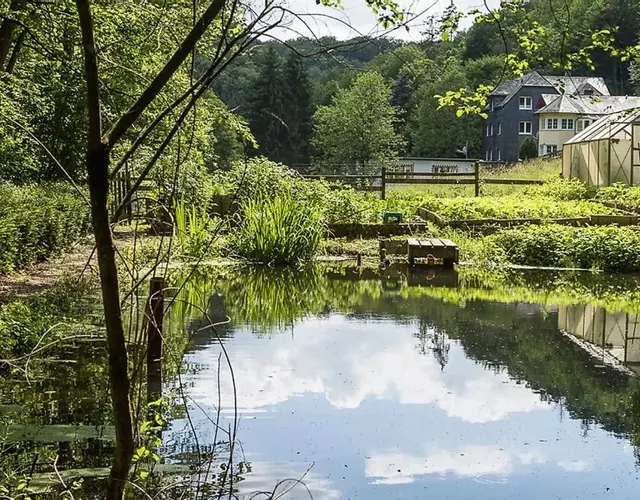 Ferienwohnung "Hieren Mühle"