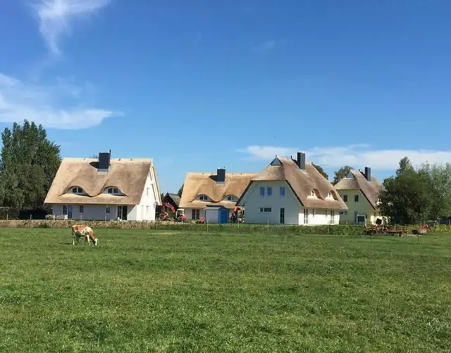 Reetdachhäuser Börgerende