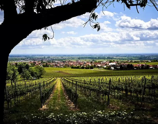 Tolle Wohnung für 5 Personen