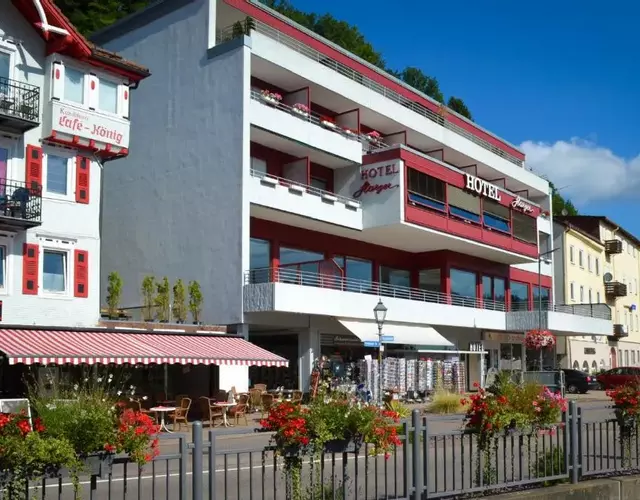 Hotel Harzer am Kurpark
