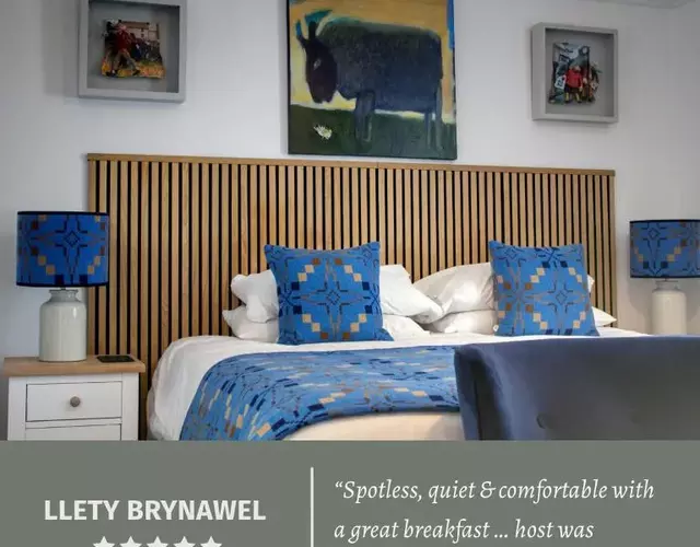 Llety Brynawel Guest House