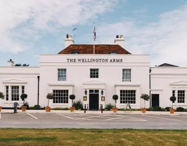 The Wellington Arms - Basingstoke-Reading