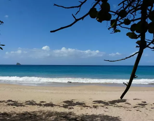 VILLA ALIZEE APPARTEMENT 2