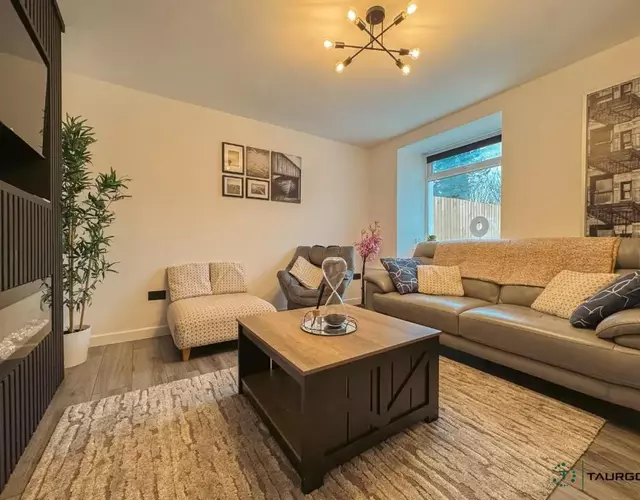 Silver Birch - Dowlais