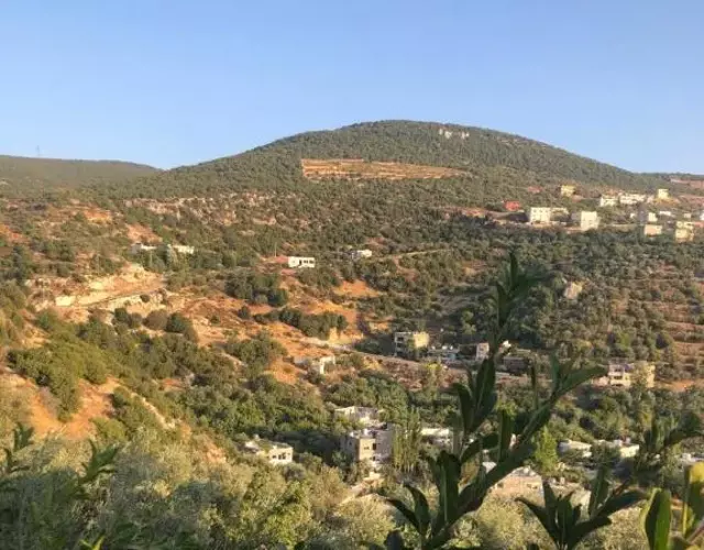 ORJAN VIEW