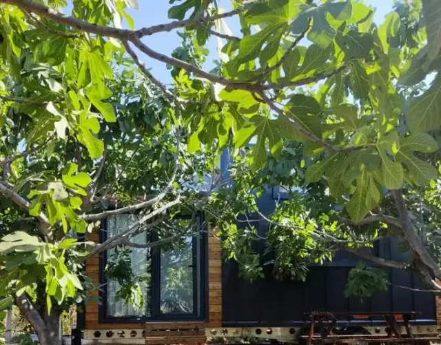 Dikili ZeyTiny House