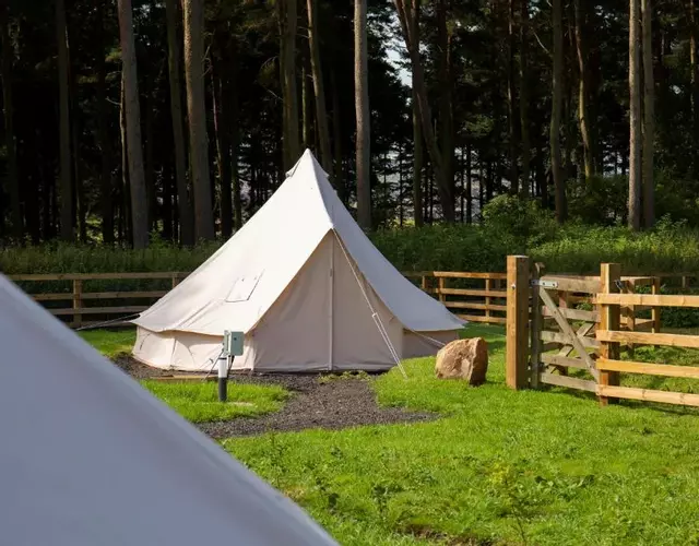 Tent 3