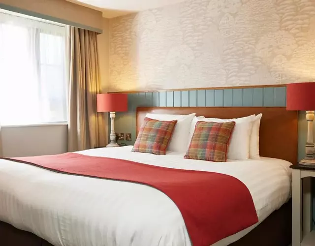 Feathers by Chef & Brewer Collection