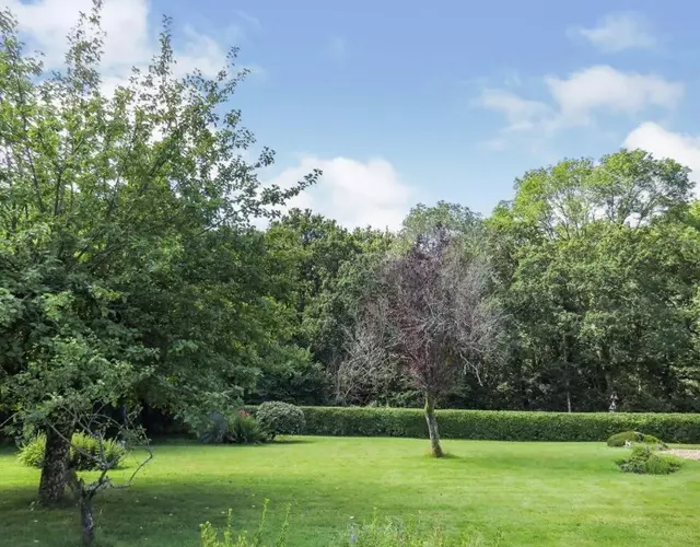 Woodland House B & B