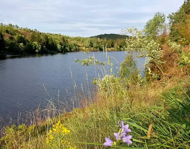 HARZ-APPARTEMENT am HEXENSTIEG