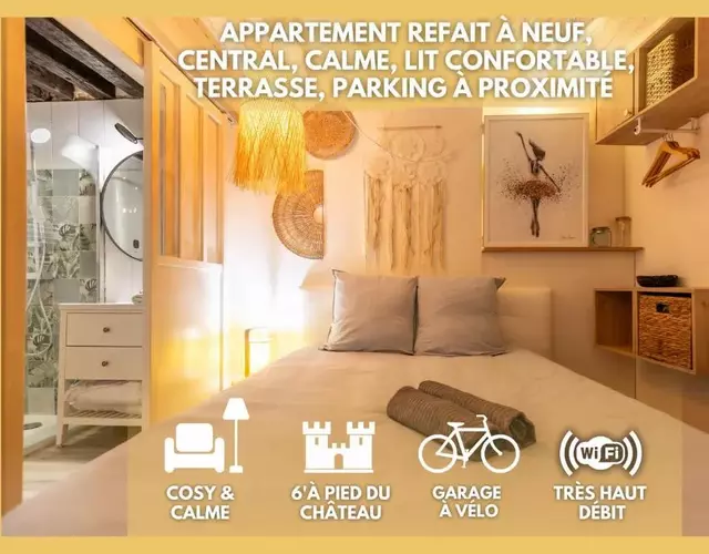 Blois hypercentre, calme, charme avec terrasse