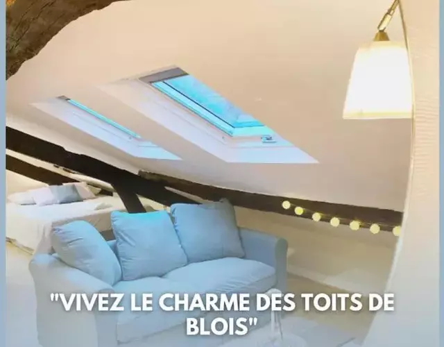 Le Grenier - Blois hyper centre