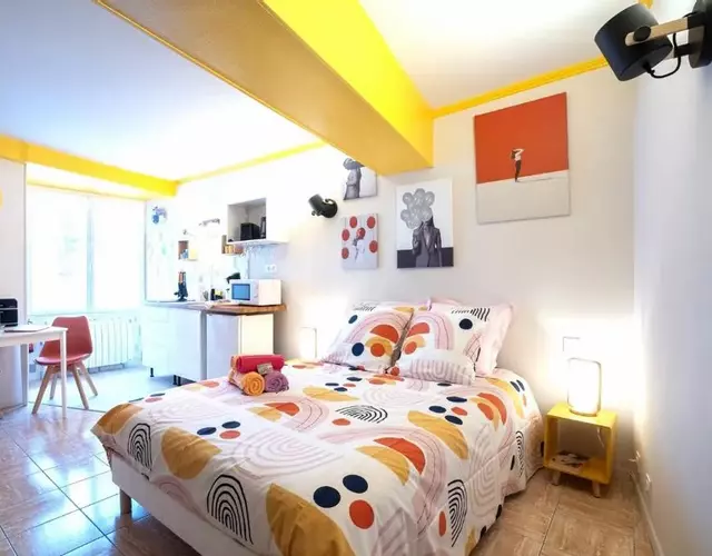 SUPERLOGIS BLOIS-LE PITAYA- HYPERCENTRE STUDIO- Classé 3Etoiles