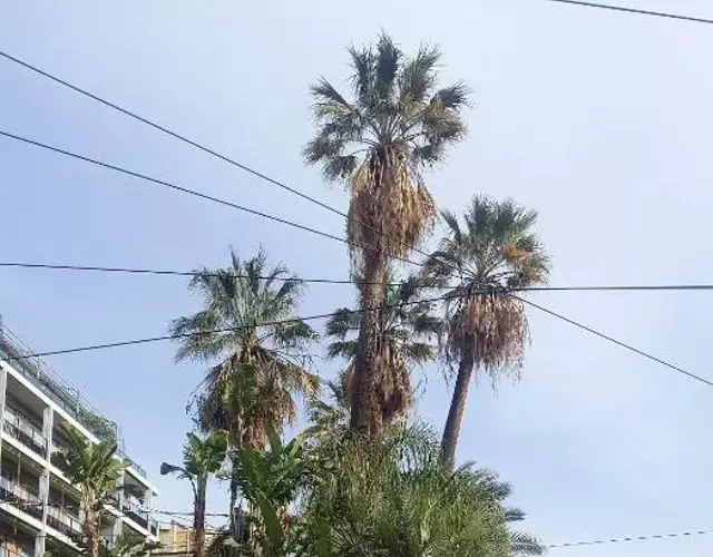 Palafiori Rooms Sanremo