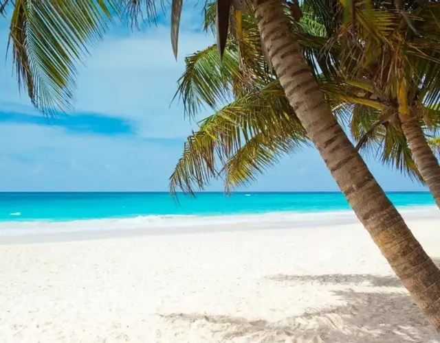 All season paradise in Cortez