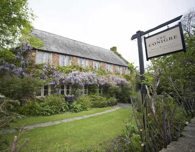 The Conigre
