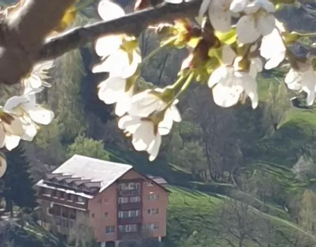 Vila Muntii Bucegi & SPA