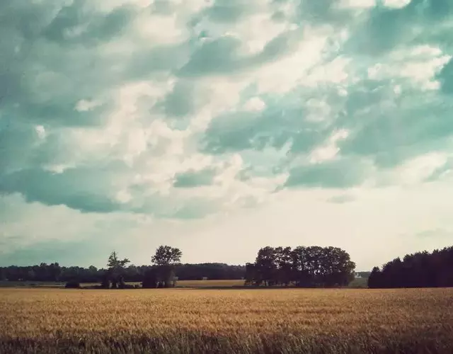 The Farm