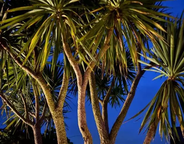 Luxury Lake Front Escape With Hot Tub