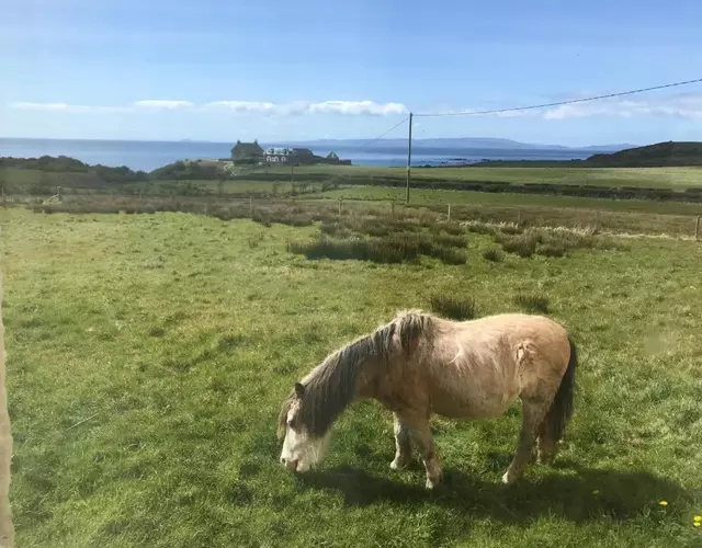 Cnocanreoch Farm Glamping