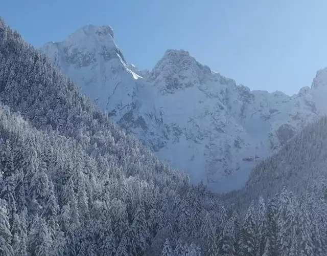 Magnifique Appartement Cosy
