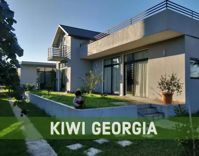 Kiwi Georgia