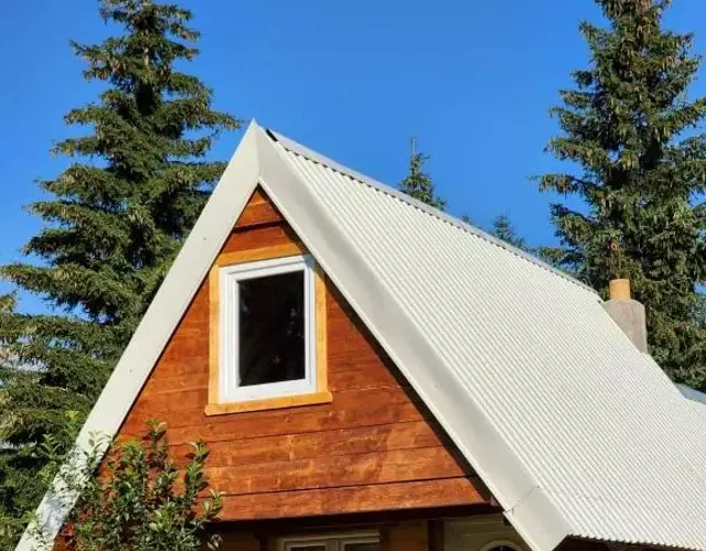 Forest Cabin 3