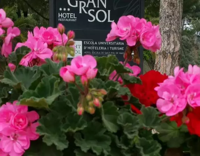 Gran Sol Hotel