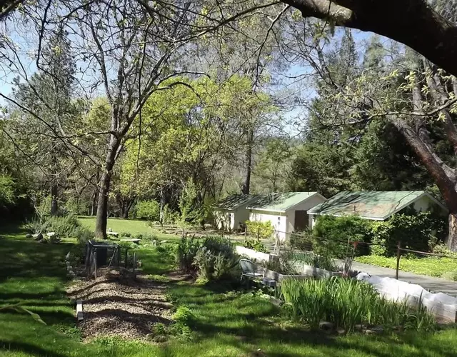 Backyard Garden Oasis
