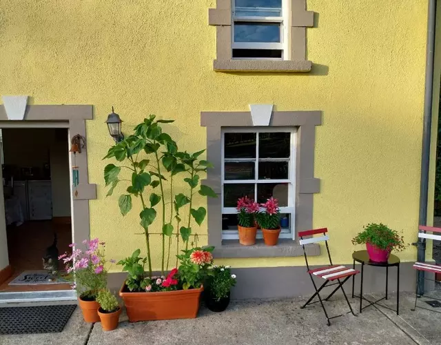 Felicity Cottage, W91 D1W3