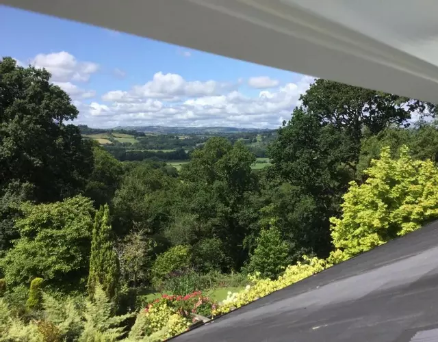 Dwynant - A Room with a View