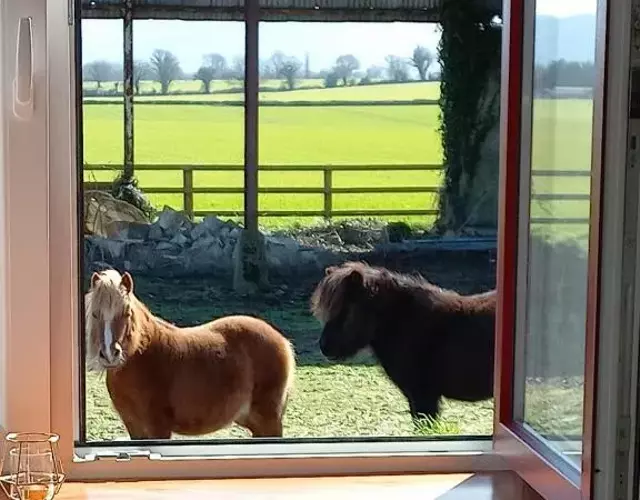 Glenrigh Luxury 2-bedroom Cottage Cahir