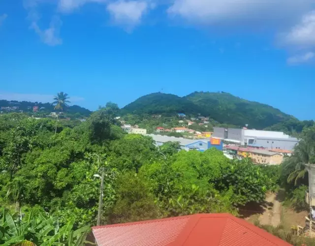 Fano's Tropical Oasis, Boise D'orange ST Lucia