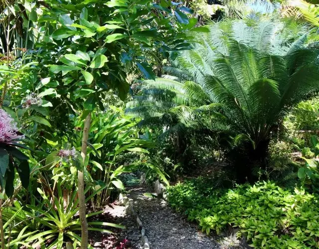 Wild Serenity's Beach Villa