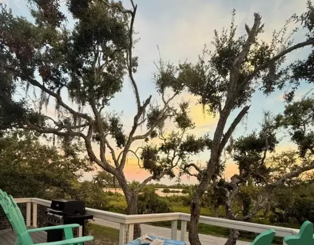 Sun Kissed Tree House