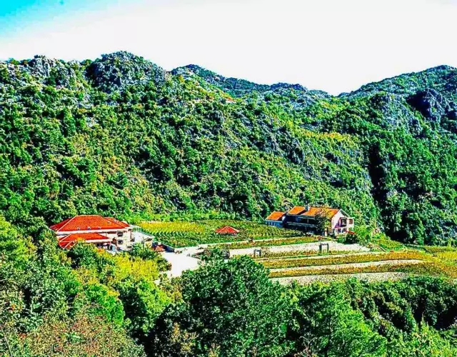 Eco Winery Lipovac Apartments