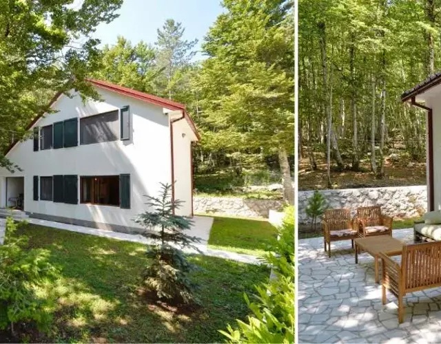 Forest house