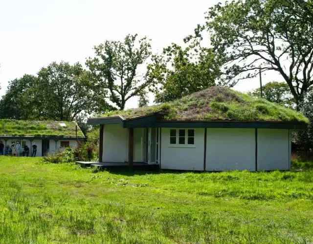 Buzzards Nest Glamping Hazel