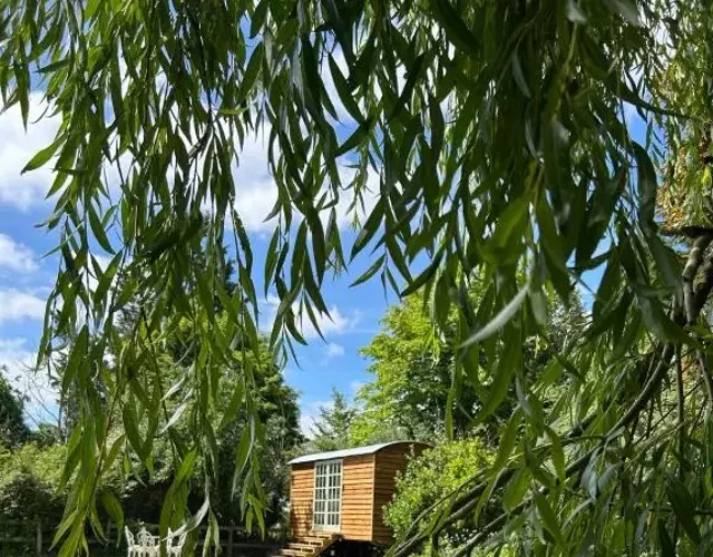 The little shepherds hut