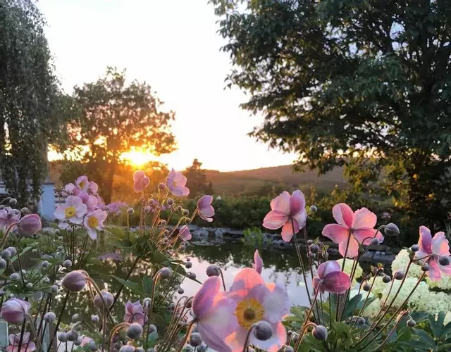 dashausderfloristin