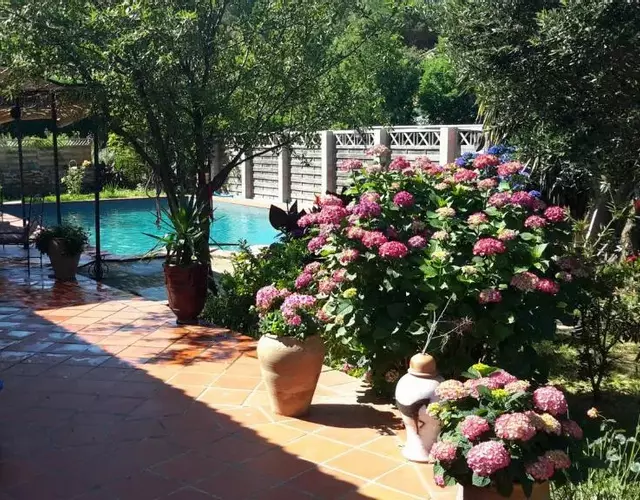 La Chambre De Salome