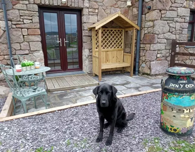 Conwy Pen Cefn Farm Holiday