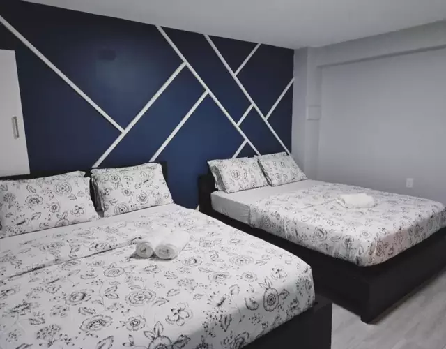 A new luxury basement apartment