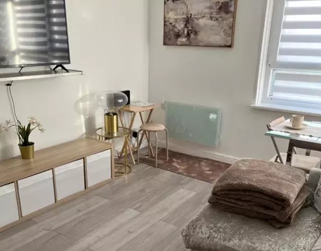 Spacious stylish apartment Croydon