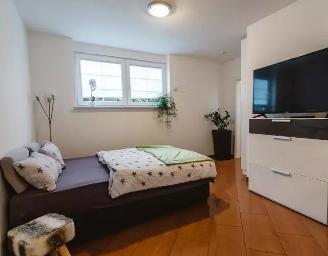 Apartment 1 Zimmer EG