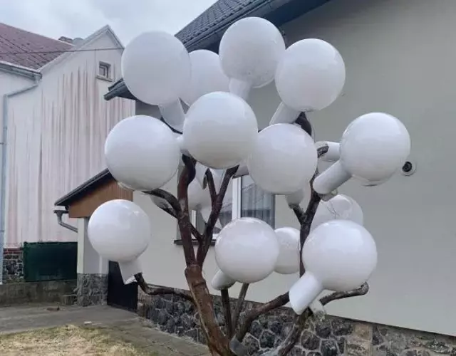 U Skleněného stromu