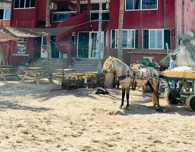 La Cabane du Pêcheur Atlantic Evasion