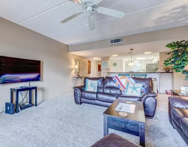 Daytona Shores Delight